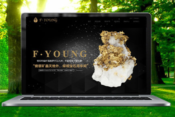 �������������ﱦʯ